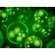 Green fluorescent reactive dyes