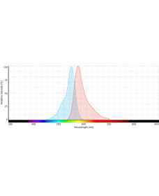 DSPE-Cyanine3